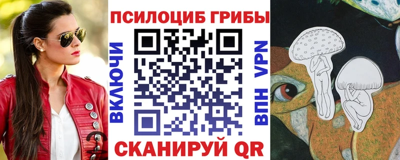 Псилоцибиновые грибы мухоморы  Пошехонье 
